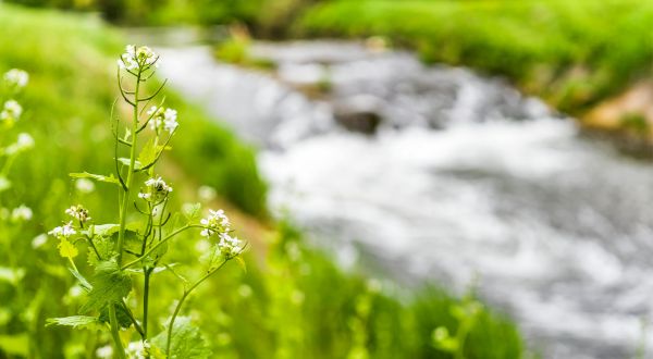 Biosphère du désert : la prépa d'une mission low-tech - Valoriser les déchets