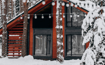 Décembre 2025 · #16 · La lettre A++, actualités et ressources en ligne de la médiathèque