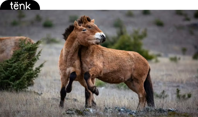 Dans ton tel - Meryem 