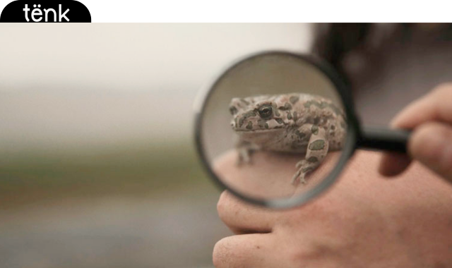 Square Idée - La fin des mégalopoles ?